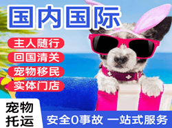 邵阳武冈机场快递国际宠物托运 【国